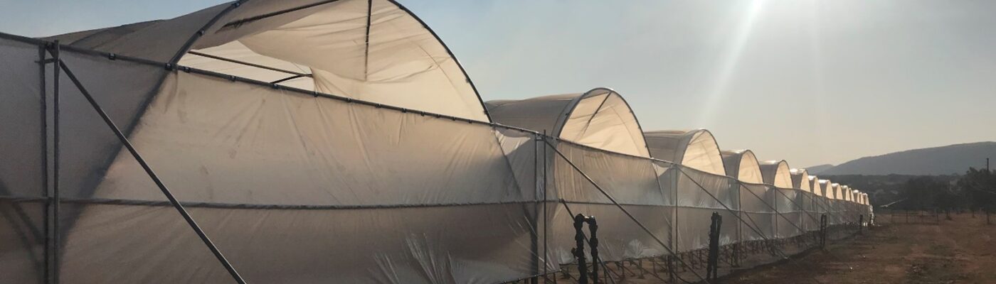 Advanced Polytunnels (18)