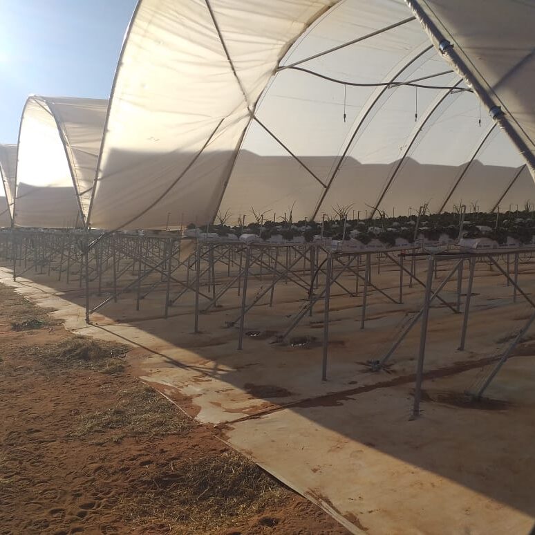 Substrate Teal Table Top Systems – Osprey Tunnels